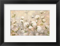 Framed Cotton Field