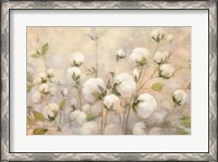 Framed Cotton Field