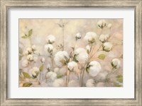 Framed Cotton Field