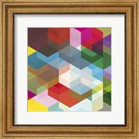 Framed Cuben Shambles