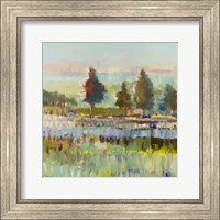 Framed Colorful Fields