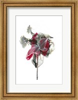Framed Abstractions of the Heart