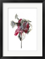 Framed Abstractions of the Heart