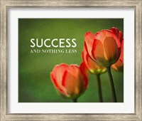 Framed Success And Nothing Less - Flowers Color