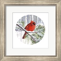 Framed 'Winter Wonder Male Cardinal' border=