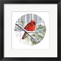 Framed 'Winter Wonder Male Cardinal' border=