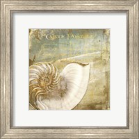 Framed 'Golden Sea I' border=