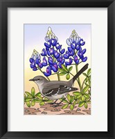 Framed State Birds And Flowers TX