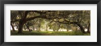 Framed Southern Charm
