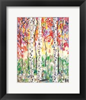 Framed Colorful Birch Forest