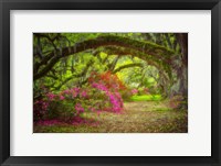 Framed Magnolia Gardens