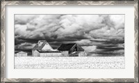 Framed Five White Barns