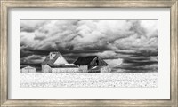 Framed Five White Barns
