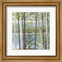 Framed Cooper Lake I