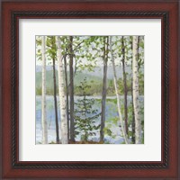 Framed Cooper Lake I