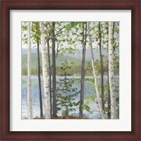 Framed Cooper Lake I