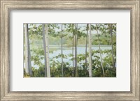 Framed Birch Lake