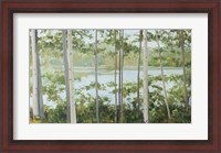 Framed Birch Lake