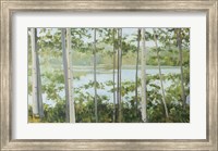 Framed Birch Lake