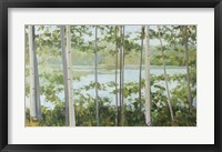 Framed Birch Lake