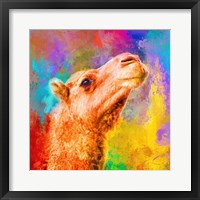 Jazzy Camel Framed Print