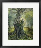 Framed Dryad And The Tree Spirit