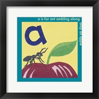 Framed Is For Ant