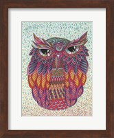Framed Amazing Owl