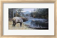 Framed Elk River