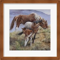 Framed Family Ties the American Mustang