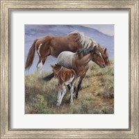 Framed Family Ties the American Mustang