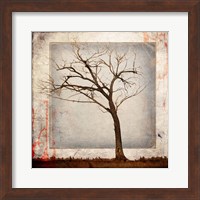 Framed Cottonwood Tree Part 5