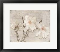 Framed Spring Magnolia