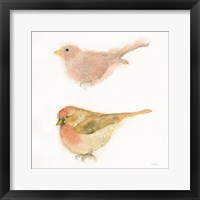 Framed 'Watercolor Birds II Sq' border=