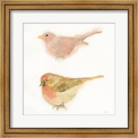 Framed 'Watercolor Birds II Sq' border=