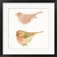 Framed Watercolor Birds II Sq