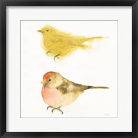 Framed Watercolor Birds I Sq