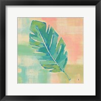 Beach Cove Leaves III Framed Print