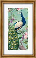 Framed Pretty Peacock II