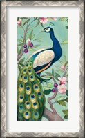 Framed Pretty Peacock II