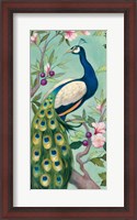 Framed Pretty Peacock II
