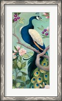 Framed Pretty Peacock I