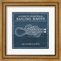 Framed 'Vintage Sailing Knots V' border=