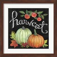 Framed 'Autumn Harvest IV Square' border=