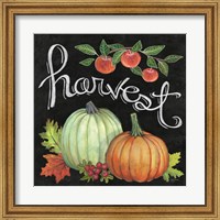 Framed Autumn Harvest IV Square