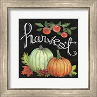 Framed 'Autumn Harvest IV Square' border=