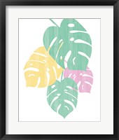 Framed Monstera IV Bright on White