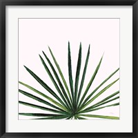 Framed Statement Palms III