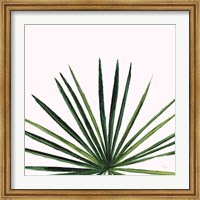 Framed Statement Palms III