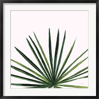 Framed Statement Palms III